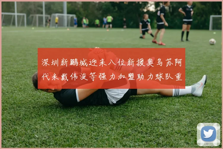 深圳新鹏城迎来八位新援奥乌苏阿代米戴伟浚等强力加盟助力球队重塑辉煌