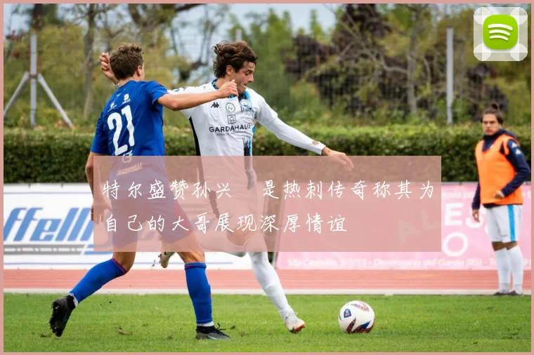 特尔盛赞孙兴慜是热刺传奇称其为自己的大哥展现深厚情谊