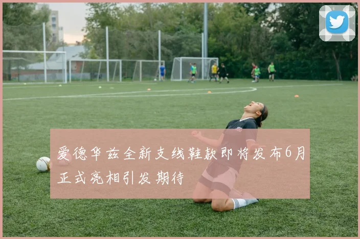 爱德华兹全新支线鞋款即将发布6月正式亮相引发期待