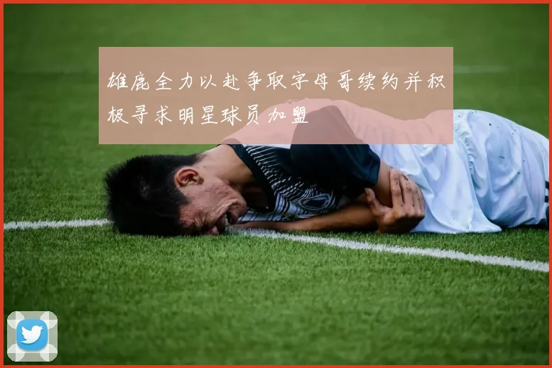 雄鹿全力以赴争取字母哥续约并积极寻求明星球员加盟