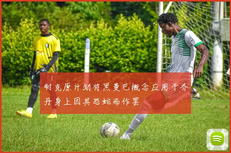 耐克原计划将黑曼巴概念应用于乔丹身上因其恐蛇而作罢