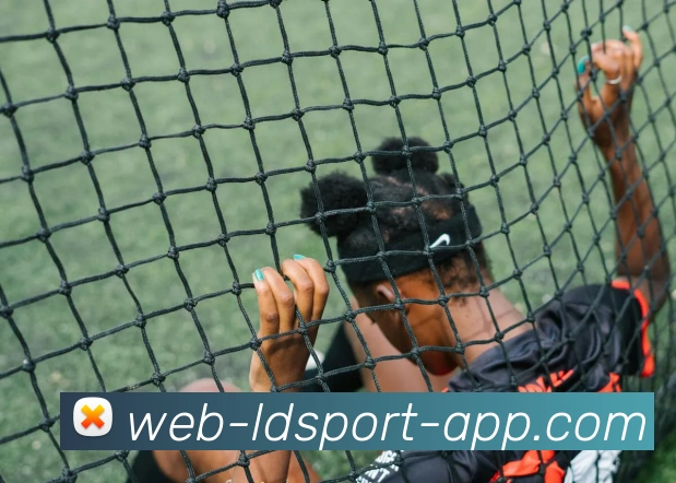 乐动体育APP 封面图