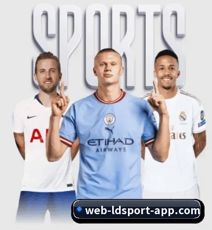 乐动体育围绕看球场景设计的核心服务 - LDSPORTS